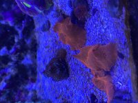 IMG_6142.jpeg