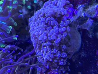 IMG_6145.jpeg