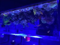 IMG_6146.jpeg