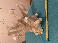 IMG_1899.jpeg