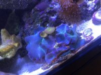 D7BCE6AA-359B-4218-9F97-94B2F257CCAD.jpeg