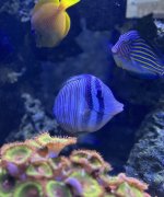 82AB6BF2-E613-4A2B-95AD-0E005B08B595.jpeg