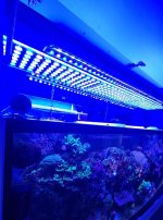 Orphek Lighting 1.jpg
