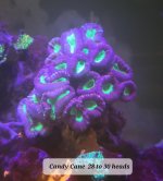 candy cane 2.jpg