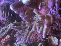 IMG_1139.jpeg