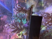 IMG_1140.jpeg