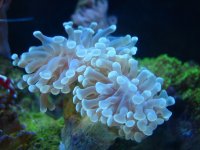 IMG_1436.JPG
