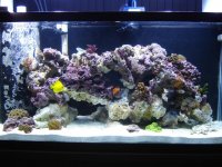 DSC03462 (Small).JPG