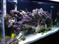 DSC03463 (Small).JPG