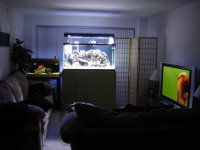 DSC03464 (Small).JPG