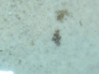 viewsat ultra 083.jpg