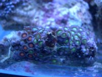 JAN 7th 2006 009.jpg