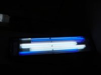 P2120114 (Small).JPG