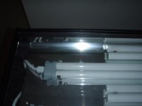 P2120119 (Small).JPG