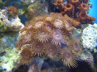 Tanks 1_06 A 020.jpg