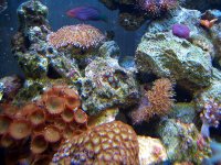 Tanks 1_06 A 028.jpg