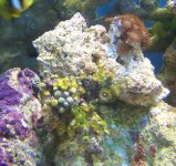 Tanks 1_06 A 021.jpg