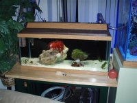 P2140128 (Small).JPG