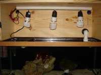 DSC03478 (Small).JPG