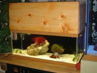 DSC03474 (Small).JPG