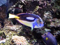 aquarium 058.jpg
