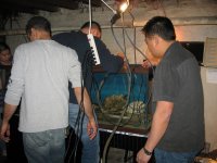 IMG_0495.jpg