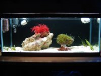 DSC03479 (Small) (2).JPG