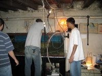 IMG_0496.jpg