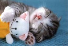 sleepy5.jpg