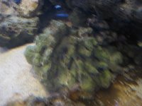IMG_1528.JPG