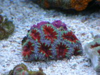 DSCN0470.jpg