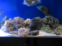 IMG_1526.JPG