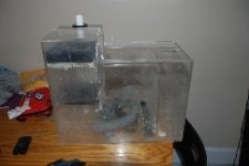 Picture pics 2007 067.jpg