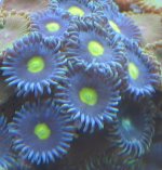18766alieneyes.jpg