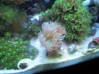 100_1315.jpg