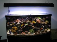 FTS1 (Large).jpg