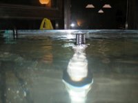 IMG_2805.jpg