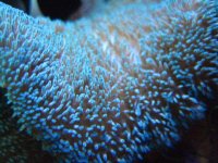 IMG_0672.JPG