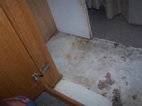 stand 2 (Medium).JPG