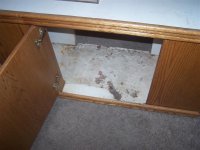 stand 3 (Medium).JPG