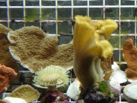 DSC00405.jpg