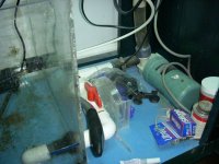 Resize of DSCN0969_2.jpg