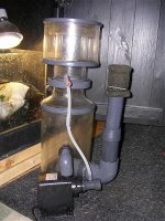 skimmer.jpg skimmer.jpg