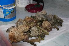 for sale pics 007.jpg