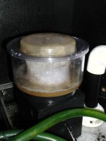 Skimmate (Large).jpg