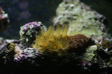 Tank 009 [800x600].jpg