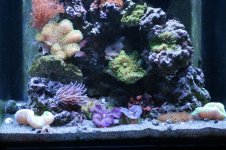 Tank 031 [800x600].jpg