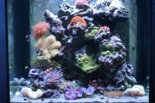 Tank 037 [800x600].jpg