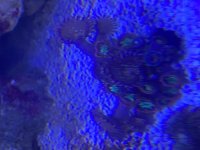 IMG_6324.jpeg