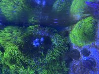 IMG_6328.jpeg